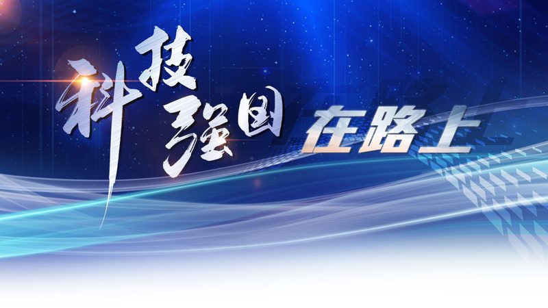 供应链管理软件：揭秘报价单背后的关键因素